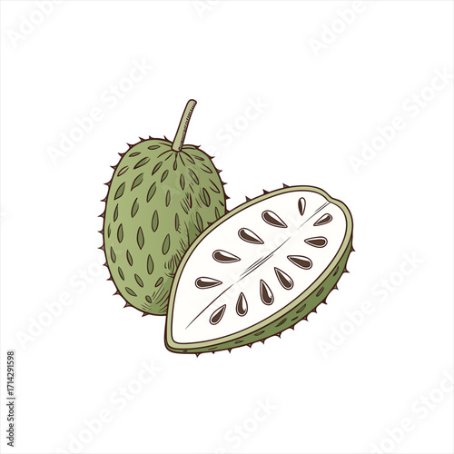 Illustration of a whole soursop fruit and a halved soursop fruit