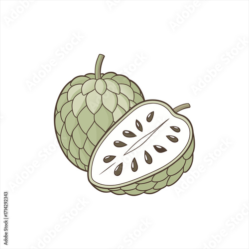 Illustration of a whole and halved custard apple fruit