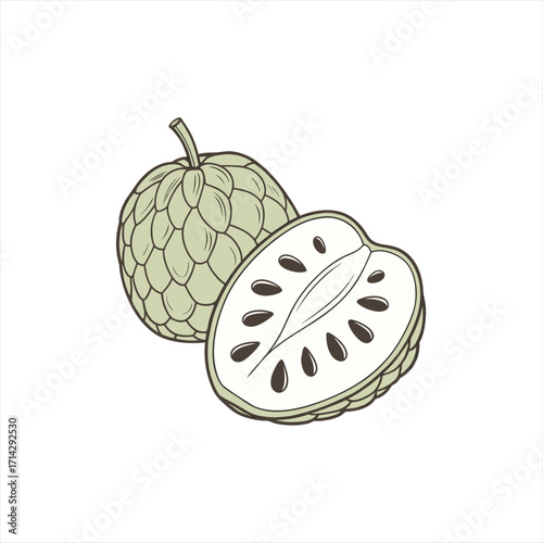 Illustration of a whole and a halved custard apple fruit