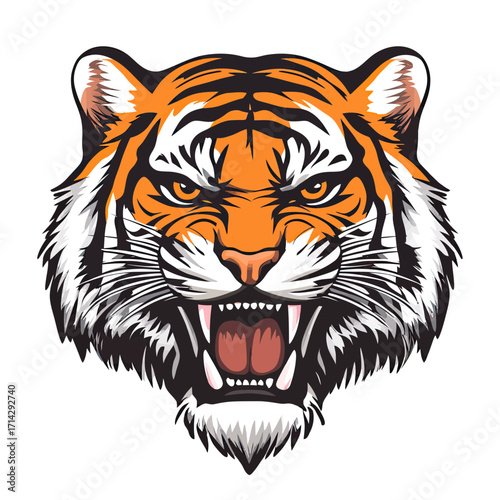 Roaring tiger head vector illustration with open mouth and sharp teeth detailed fierce big cat face on white background