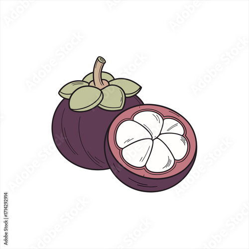 Illustration of a whole and halved mangosteen fruit on a white background