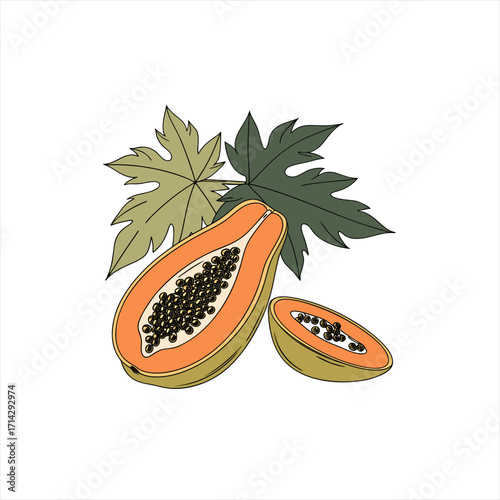 Fresh papaya fruit halved with seeds and green leaves