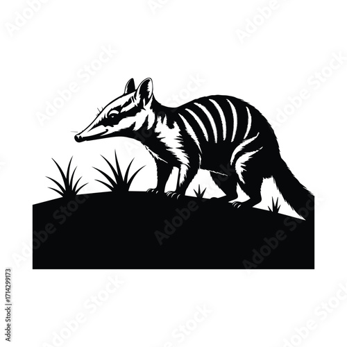 Detailed Illustration of a Striped Bandicoot in Black and White Graphic Design