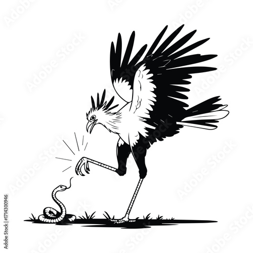 Dramatic secretary bird illustration confronting snake in black and white linear style