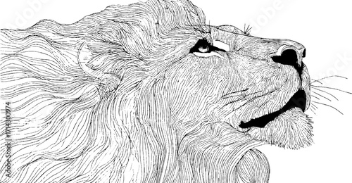 Majestic lion in black and white line art for decorative and artistic designs