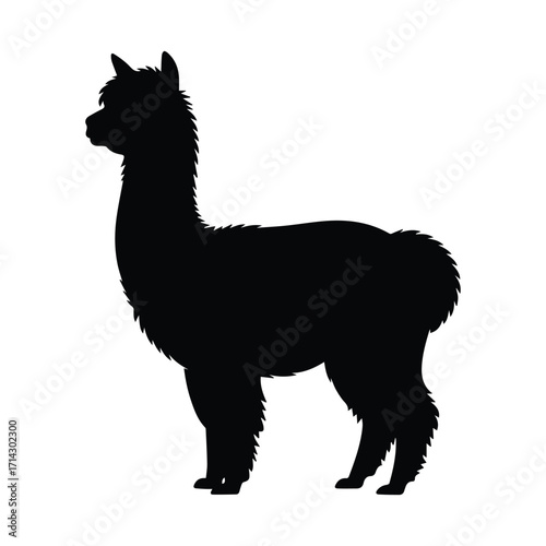 Elegant Alpaca Silhouette on White Background Perfect for Graphic Design Projects and Illustrations
