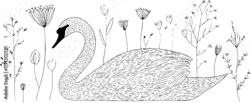 Elegant black and white line art swan surrounded by floral patterns for design inspiration
