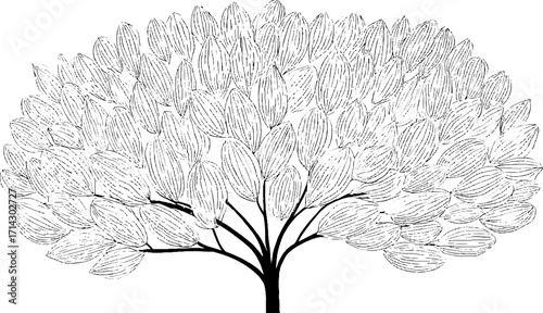 Black and white line art of tree with detailed leaves for design and decoration