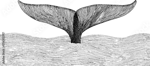 Black and white line art of whale tail in ocean waves - minimalist marine design