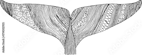 Intricate black and white line art illustration of a whale tail design for nautical decor