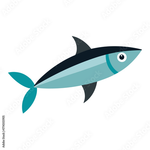 shark isolated on white background