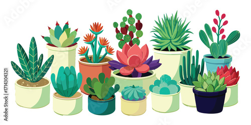 Collection of Diverse Potted Succulent Plants in Colorful Pots. These vector pictograms of a plant, potted, collection, green, red, orange, purple, teal, illustration. 