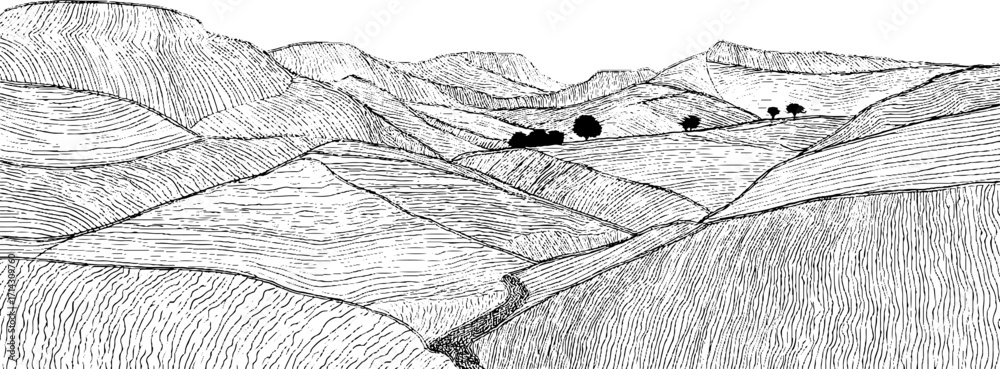 Fototapeta premium Monochrome line art of rolling hills and valleys in serene landscape design