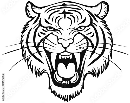 Tiger head roaring line art illustration, wild predator feline face in black and white, aggressive jungle animal drawing with open mouth and sharp teeth, tattoo and tribal design