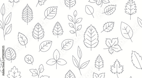Hand-drawn seamless pattern of various leaves in a minimalist black and white line art style.