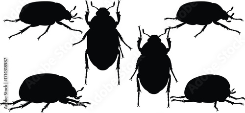 Black Silhouetted Beetles in Nature, Graphic Illustration, High-Resolution Vector Art, Close-Up Viewpoint of Entomology Concept