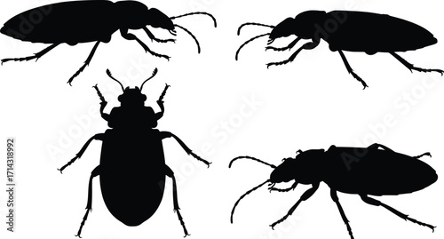 Insect Vector Silhouettes Captured in High-Resolution Illustrations, Showcasing Diverse Species in Nature, Ideal for Scientific and Educational Use