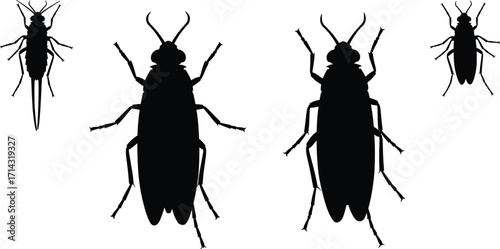 Diverse Species Presentation in Nature, High-Resolution Graphics for Educational Purposes