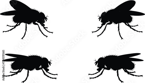 High-Resolution Black Silhouettes of Flies in Graphic Design, Creative Environment, Conceptual Illustration, Unique Viewpoint for Designers