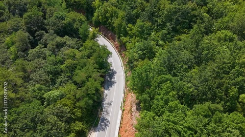Biokovo Nature Park Dalmatia Croatia winding forest road with blue car driving through pine canopy on sunny summer day