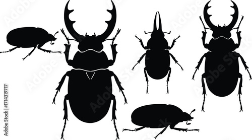 A High-Resolution Illustration of Diverse Insect Silhouettes in Nature, Capturing Their Unique Features and Forms