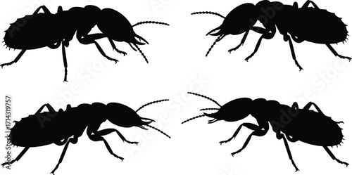 Black Silhouettes of Vector Ants in Nature, High-Resolution Illustration, Close-Up Viewpoint in a Dynamic Environment