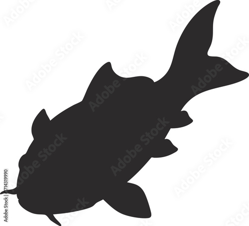 Cartoon cute koi fish on white background