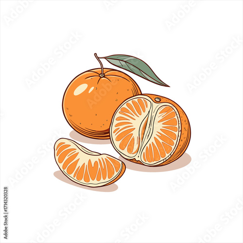 Fresh mandarin oranges and segments with a leaf illustration