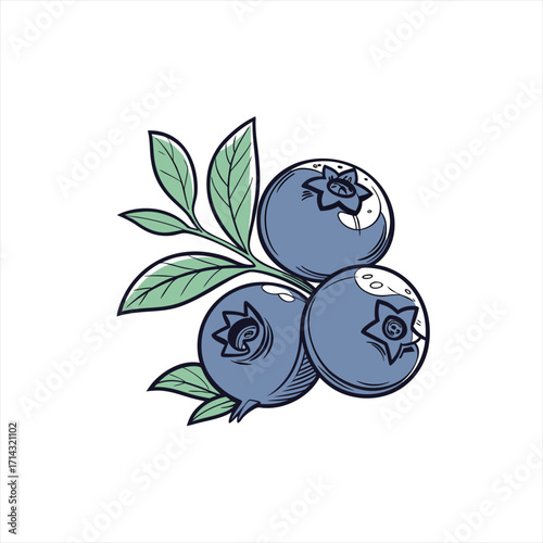 Hand drawn illustration of three ripe blueberries on a branch with leaves