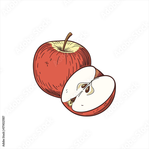 Red apple and half apple illustration with seeds