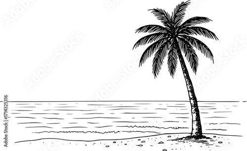 Coastline vector sketch hand drawn line art in nature, palm tree on tropical beach style