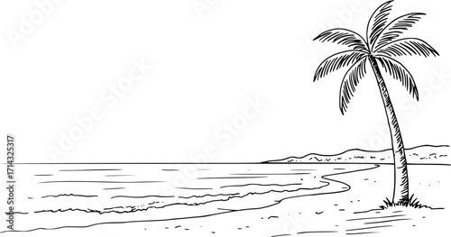 Coastline vector sketch hand drawn line art in nature, palm tree on tropical beach style