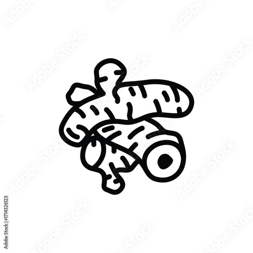 Ginger Root Black Line Drawing on White Background