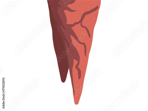 Jungle Cave Forest Cartoon Illustration
