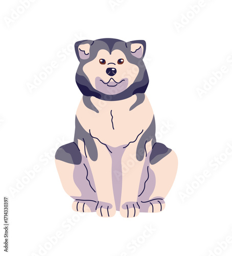 Siberian Husky or Alaskan Malamute sits front view. Cute fluffy puppy of sled dog. Happy pup relaxes. Funny pet, domestic animal has a rest. Flat isolated vector illustration on white background