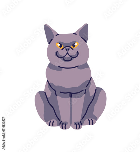 British Shorthair cat sits front view. Cute cat with happy muzzle. Funny kitten, grey kitty relaxes. Fluffy pet, domestic animal has a rest. Flat isolated vector illustration on white background