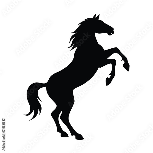 Black silhouette of a horse rearing up on its hind legs
