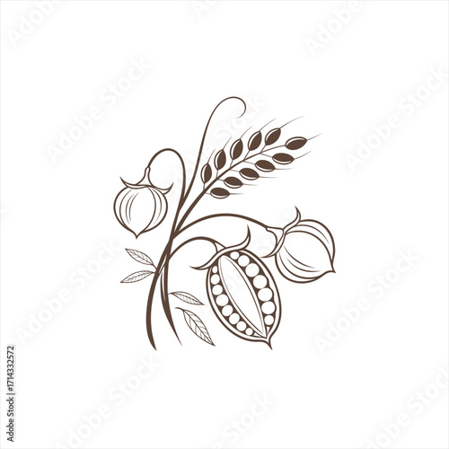 Stylized illustration of wheat and legumes on a white background