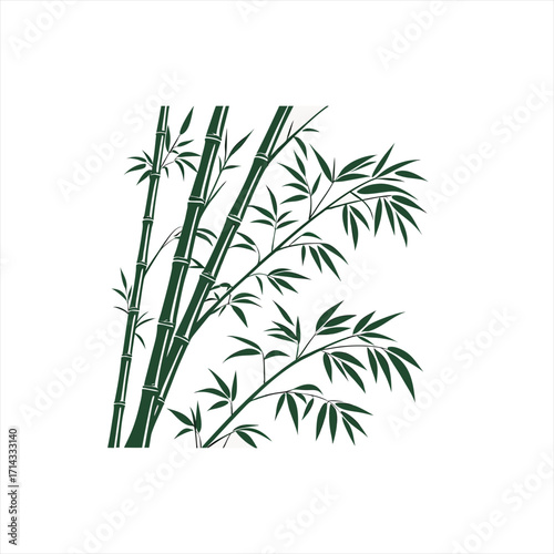 Dark green bamboo stalks and leaves illustration on white background
