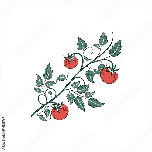 Stylized tomato plant branch with red tomatoes and green leaves