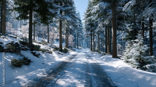 Scenic Winter Forest Path Sunlight Filtering Through Snowy Trees Landscape HDR Cinematography Serene Ambiance White Blue Hues Outdoor Scene