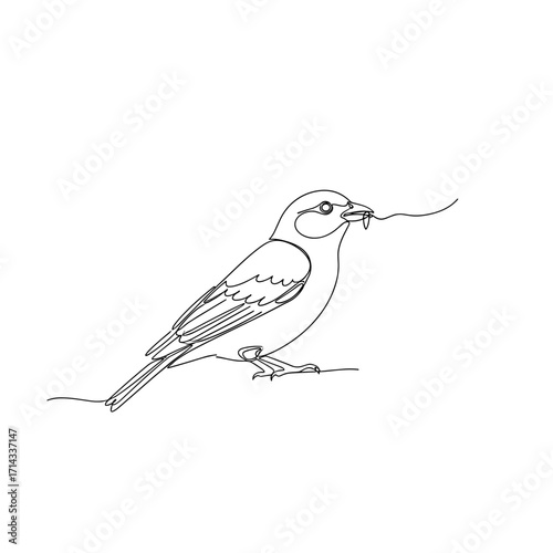 Bird holding worm in beak in one-line drawing style