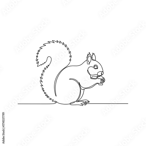Squirrel eating nut in minimal one-line drawing style