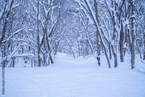 日本の鳥取県にある大山の雪景色　冬景色