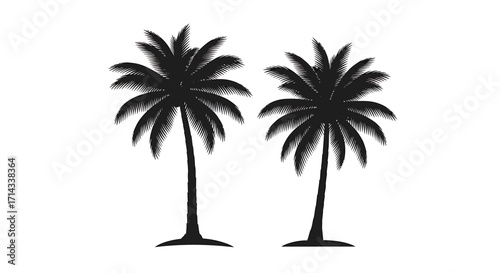 Vector silhouettes of two tropical palm trees, summer vacation and beach holiday design icons isolated on white background illustration