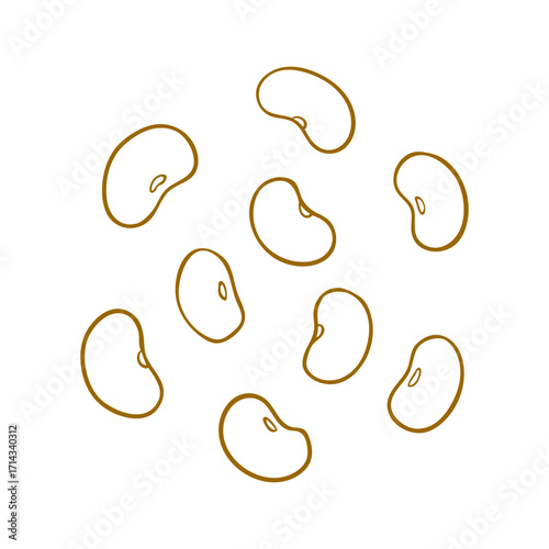 Hand-Drawn beans Illustration