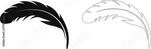 set of feathers, Bird feather icons set. Simple black symbols with different feathers from bird wings. Flat line style vector for apps website isolated on transparent background, Feathers silhouette.