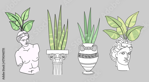 A set of antique style doodle vases with house plants.
