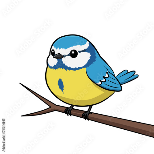 Colorful tit bird vector perched on branch. Blue and yellow songbird illustration, perfect for wildlife design, children’s art, nature logo, or educational graphic element