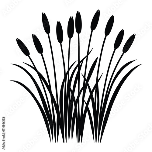 A fresh bouquet of spring grass and flowers is isolated on a white background, representing nature's growth in the season